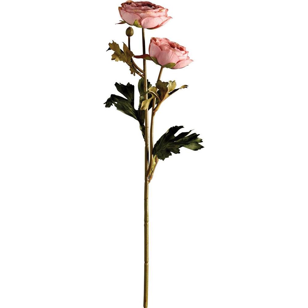 Pink Ranunculus - Long Stem Pick - Picture 2 of 2